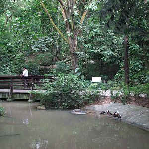 Jurong Bird Park 2008 - Inside the Waterfall Aviary