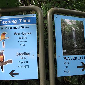 Jurong Bird Park 2008 - Feeding time label in the Waterfall Aviary