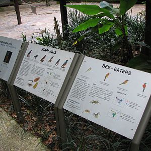 Jurong Bird Park 2008 - Species labels in the Waterfall Aviary
