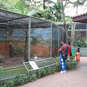 Jurong Bird Park 2008 - Aviaries in Parrot Paradise