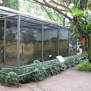Jurong Bird Park 2008 - Aviaries in Parrot Paradise