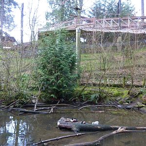 Waterfowl Aviary