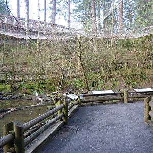 Waterfowl Aviary