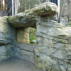 Cougar Exhibit - Viewing Window
