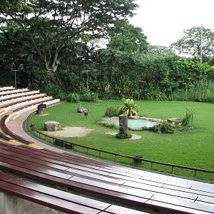 Jurong Bird Park 2008 - Birds of Prey amphitheatre