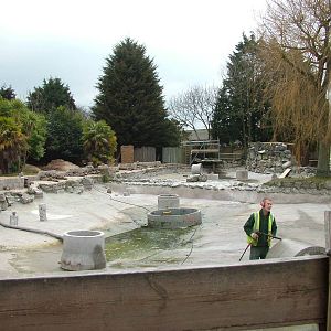 Giant Otter exhibit construction at Chester 06/03/10