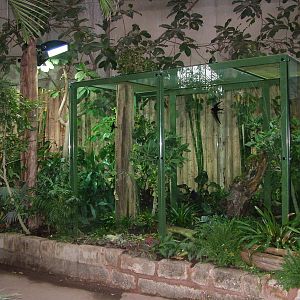 New frog exhibit at Chester 06/03/10