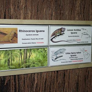 Signage example at Chester 06/03/10