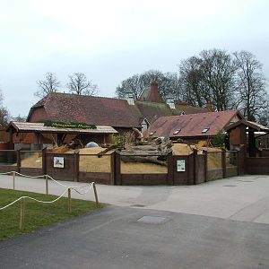 Mongoose Mania at Chester 06/03/10