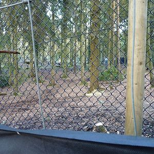 Wolf Enclosure - Now Complete