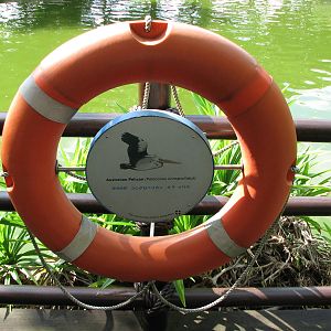 Jurong Bird Park 2008 - Label at the Pelican Lagoon