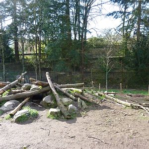 Wolf Enclosure