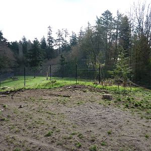 Wolf/Wapiti Enclosures