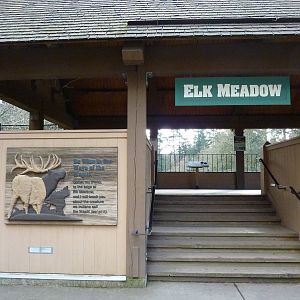Wolf/Wapiti Enclosures - Viewing Platform
