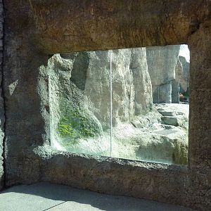Polar Bear Exhibit - Viewing Window