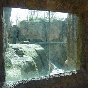 Polar Bear Exhibit - Viewing Window