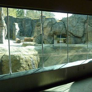 Polar Bear Exhibit