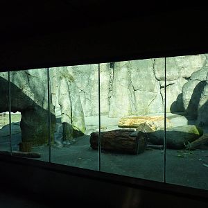 Polar Bear Exhibit