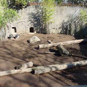 Visayan Warty Pig Exhibit