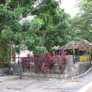 Defunct Jurong Reptile Park 2008 - Assumed-to-have-been Crocodile exhibit