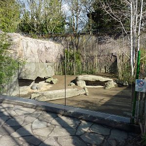 Babirusa Exhibit