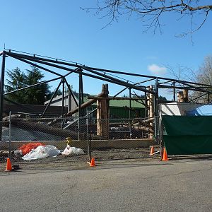 Red Ape Reserve - Construction