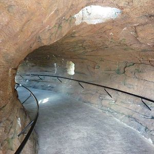 Red Ape Reserve - Visitor Tunnel