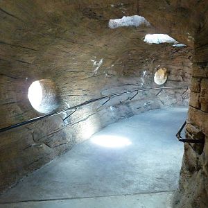 Red Ape Reserve - Visitor Tunnel