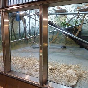 Chimpanzee Exhibit - Indoor Room