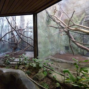 Tree Shrew + Burmese Python Exhibits