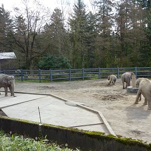 Asian Elephant Exhibit