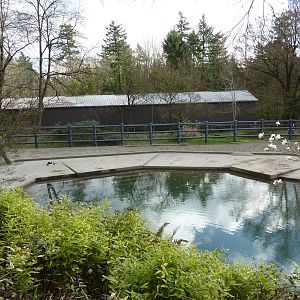 Asian Elephant Exhibit