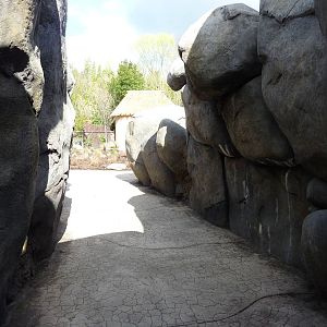 Predators of the Serengeti - Visitor Walkway