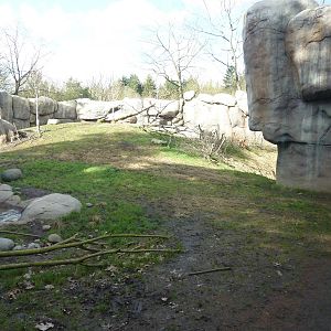 Lion Exhibit