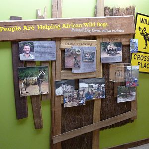 African Wild Dog Signage