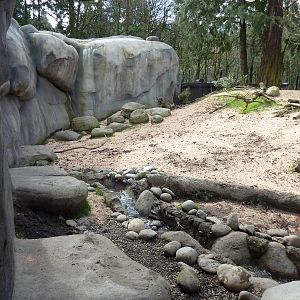 African Wild Dog Exhibit