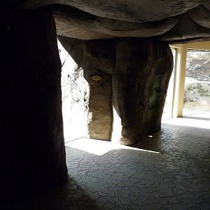 Cheetah Exhibit - Viewing Windows