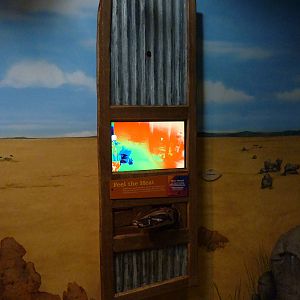 African Rock Python - Heat Sensor Pad