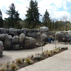 Predators of the Serengeti - Entrance