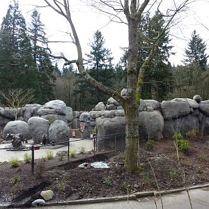 Predators of the Serengeti - Entrance