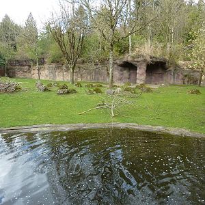 Damara Zebra + Gerenuk Exhibit