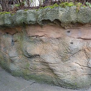 African Savanna - Visitor Walkway