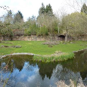 Damara Zebra + Gerenuk Exhibit