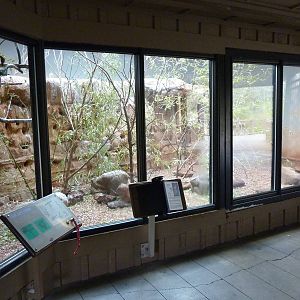 Bee Eater/Weaver Exhibit