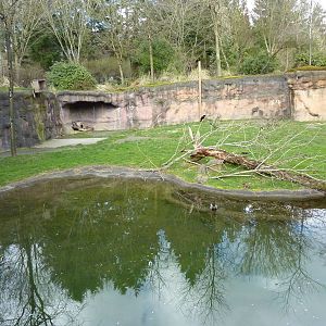 Giraffe/Speke's Gazelle/Ground Hornbill Exhibit