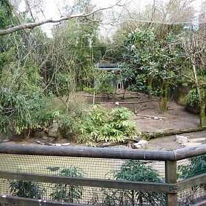 Red-Flanked Duiker/Ibis/Stork Exhibit