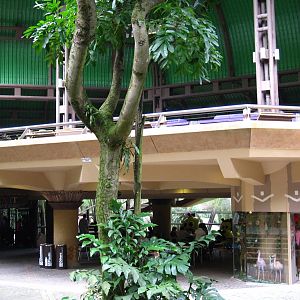 African Waterfall Aviary