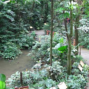 African Waterfall Aviary