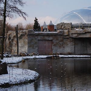 The ELE Tropicalhall