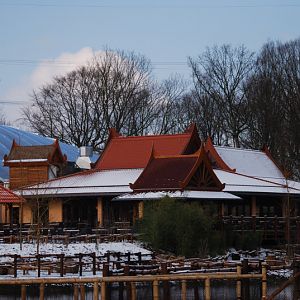 The RyoKan Restaurant
